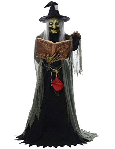 Animated Witch H5484