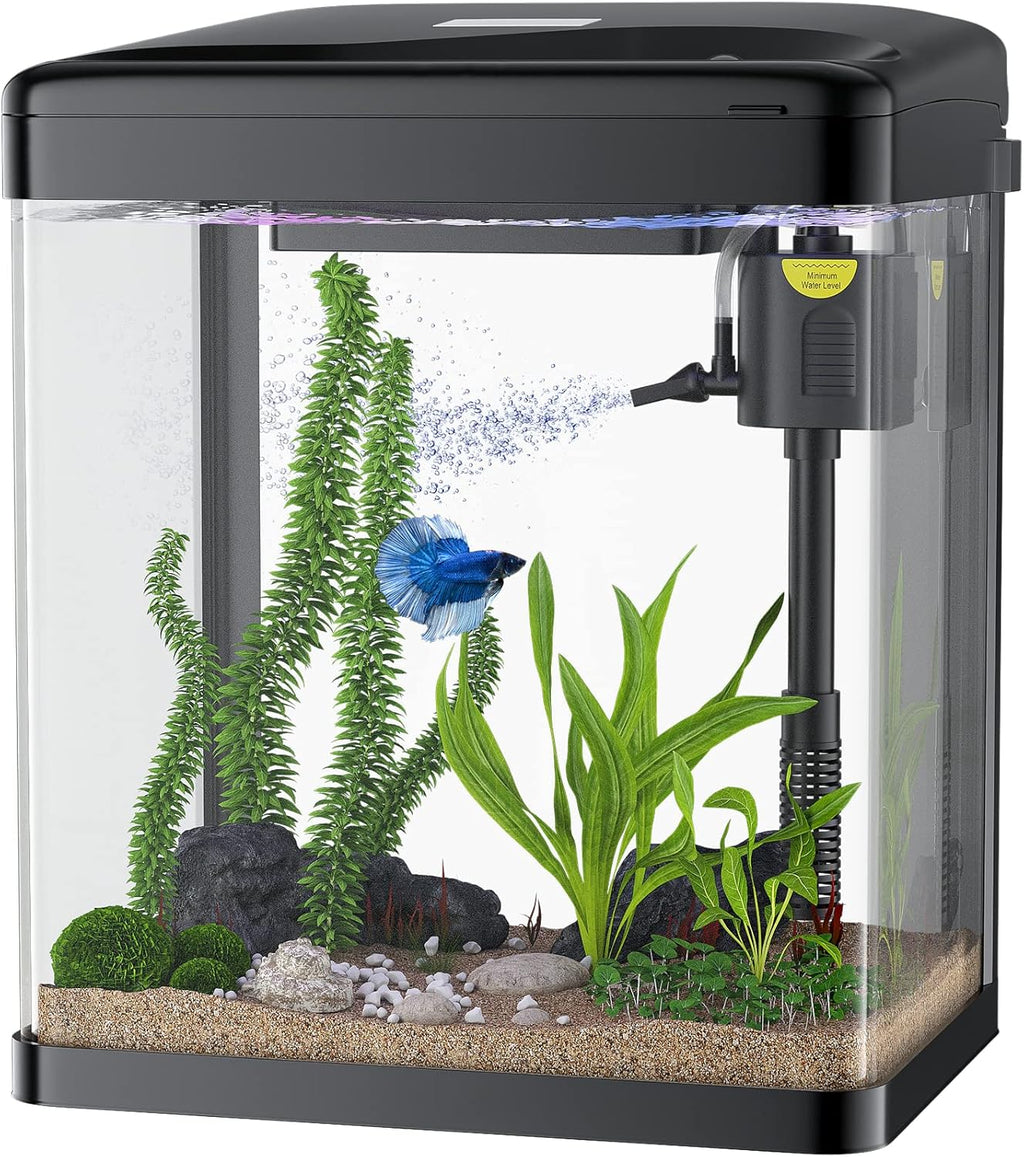 2 Gallon Glass Fish Tank with Filter Light H316186
