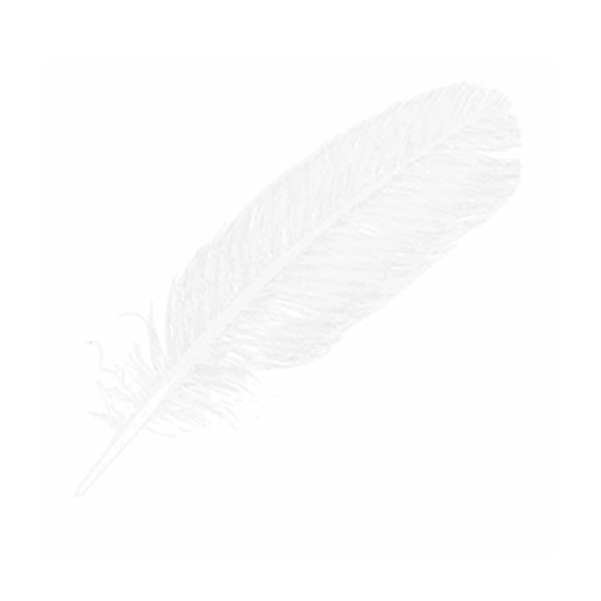 Home Goods F152