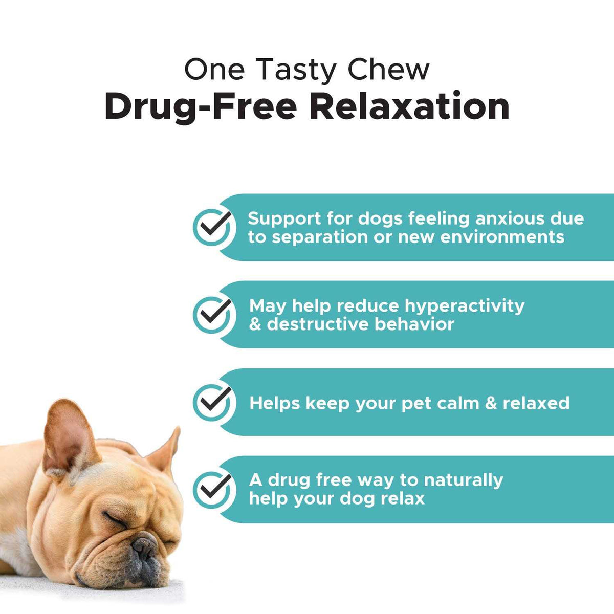 Melatonin Calming Dog Chew Supplement E744