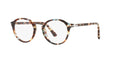Azure Brown Persol Sunglasses S4490