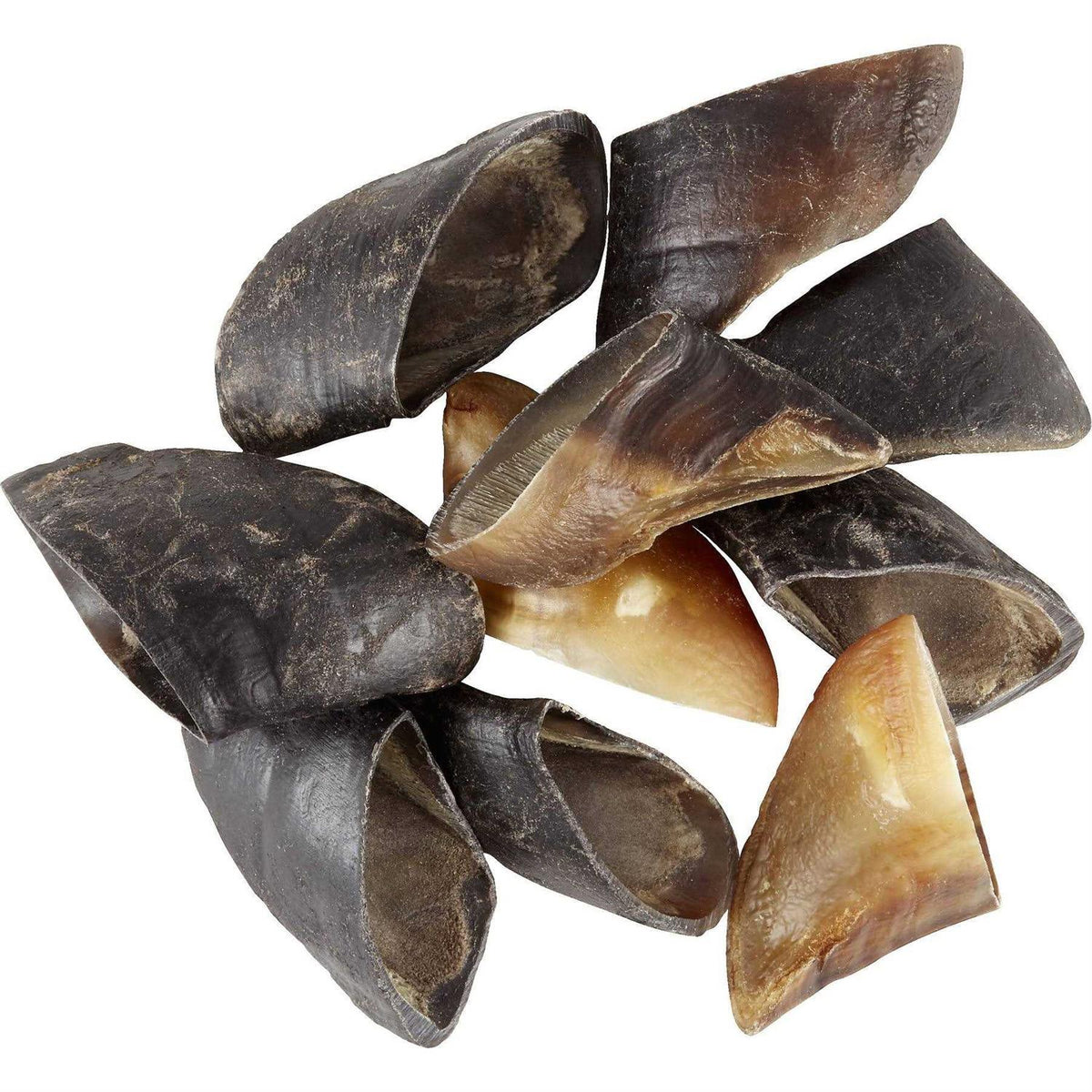 Cow Hooves B6192