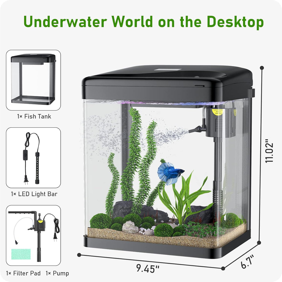 2 Gallon Glass Fish Tank with Filter Light H316186