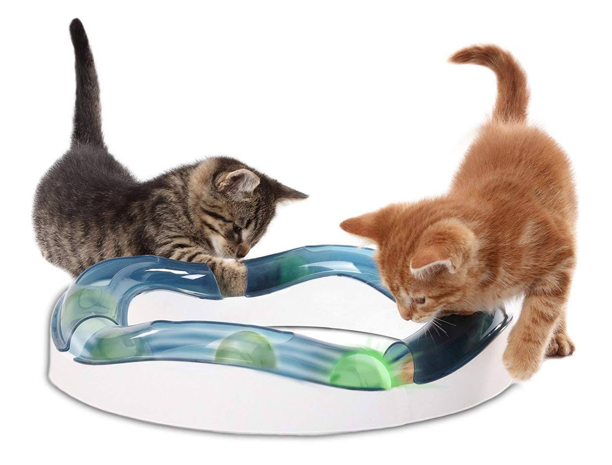 Speed Circuit Cat Toy Y528