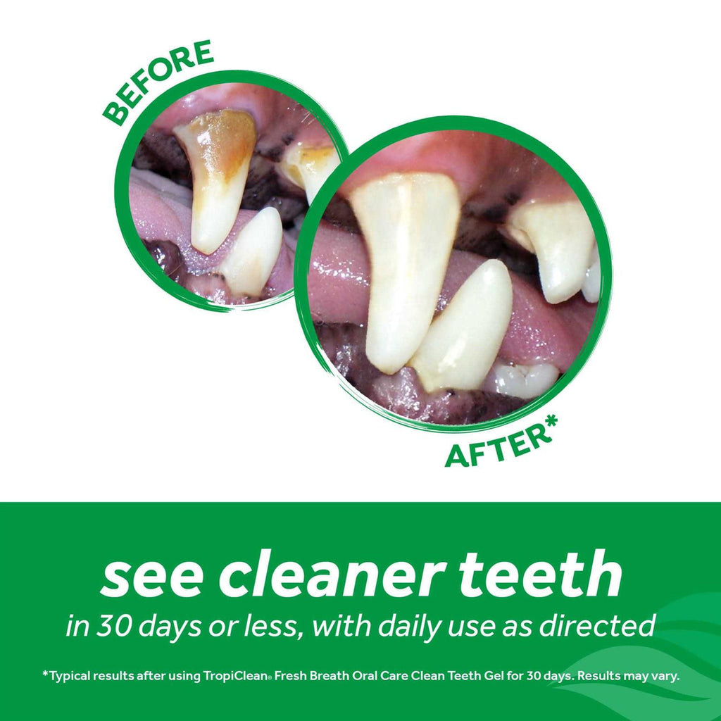 Fresh Breath Clean Teeth Gel for Cats W570112
