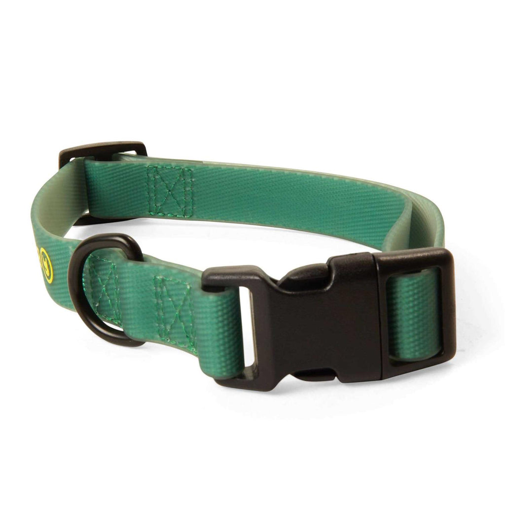 The Dog Collar S48781