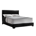 Queen Upholstered Panel Bed Black Q360830