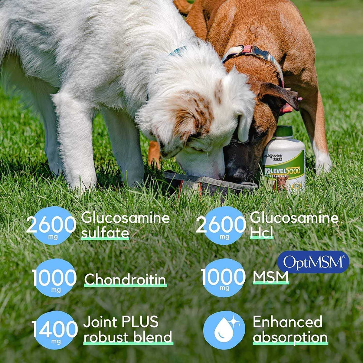 Liquid Health K9 Level 5000 Glucosamine H9243