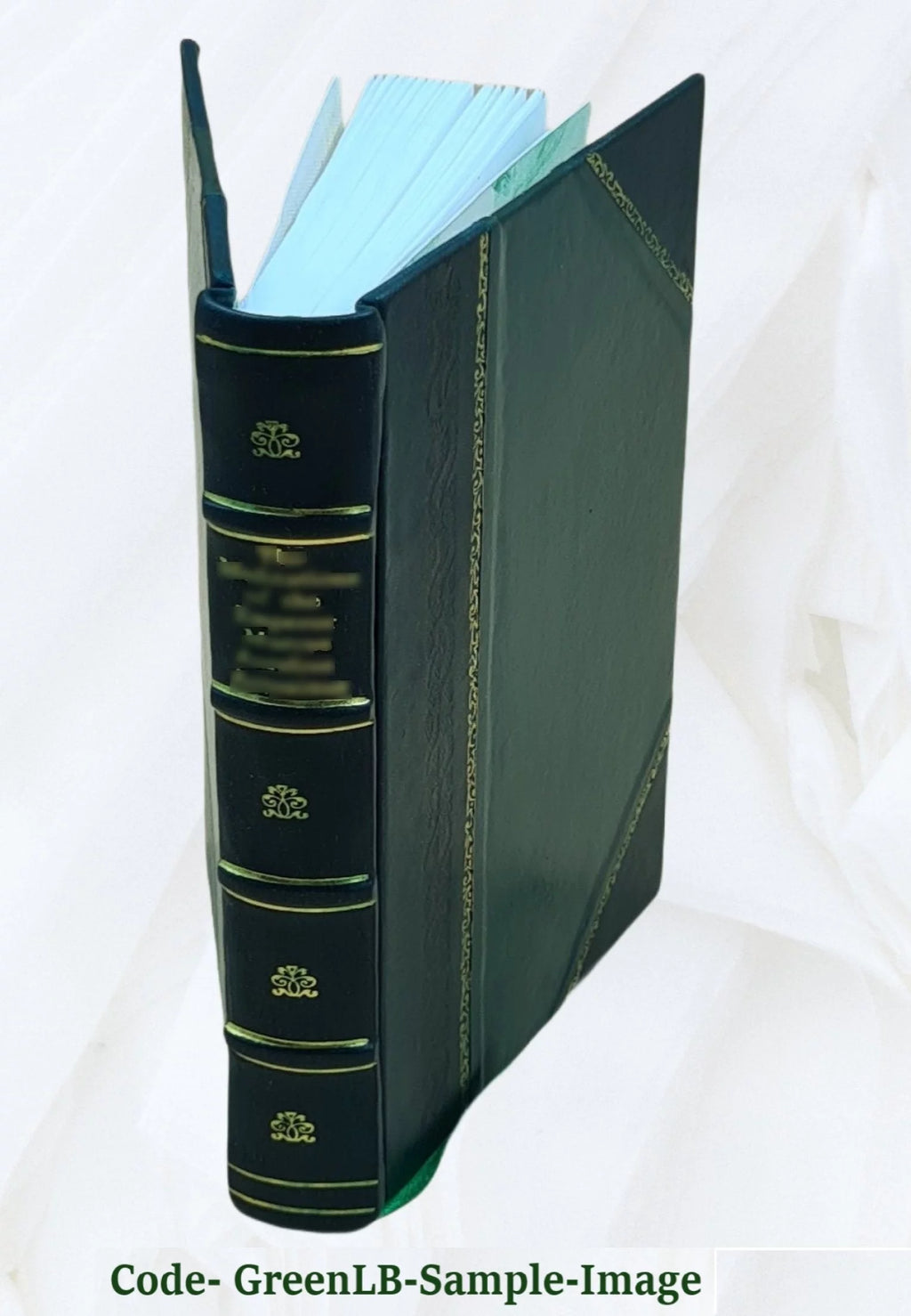 Leather Bound T412